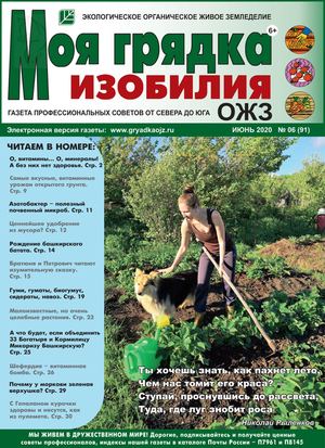 Моя грядка изобилия №6, июнь 2020