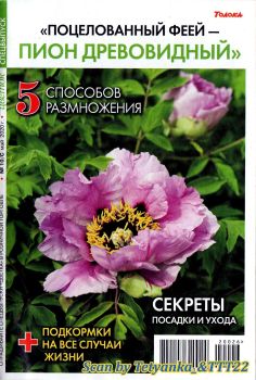Цветок. Спецвыпуск №10, май 2020