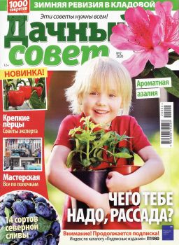 Дачный совет №2, январь 2020