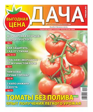 Дача №11, июнь 2020