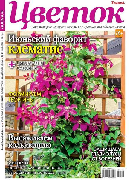 Цветок №11, июнь 2020