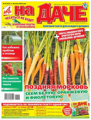 АиФ. На даче №13, июль 2020