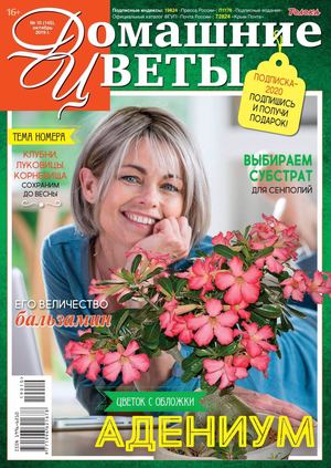 Домашние цветы №10, октябрь 2019