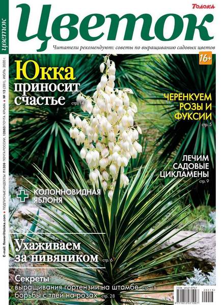 Цветок №13, июль 2020