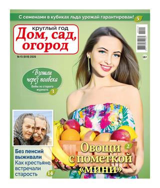 Круглый год: Дом, сад, огород №15, 2020