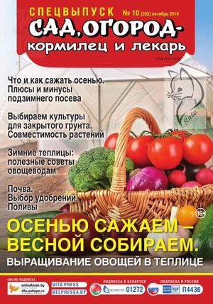 Сад, огород – кормилец и лекарь. Спецвыпуск №10, октябрь 2019