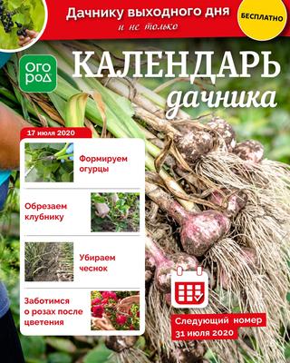 Огород Ру. Календарь дачника №14, июль 2020