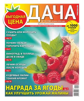 Дача №14, июль 2020
