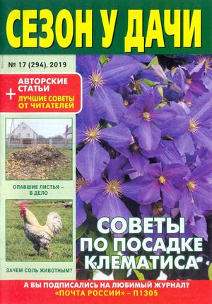 Сезон у дачи №17, сентябрь 2019
