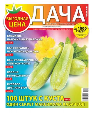Дача №16, август 2020