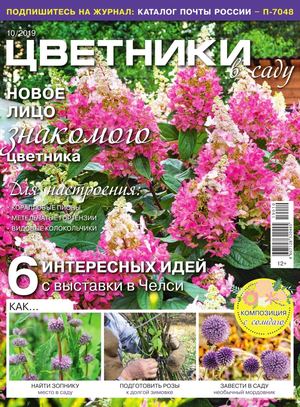 Цветники в саду №10, октябрь 2019
