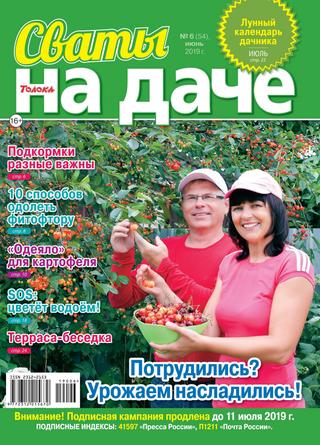 Сваты. На даче №6, июнь 2019