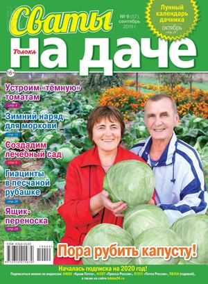 Сваты. На даче №9, сентябрь 2019