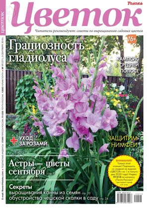 Цветок №17, сентябрь 2019